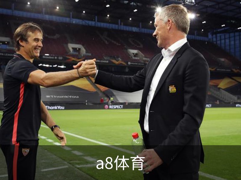 关于a8体育